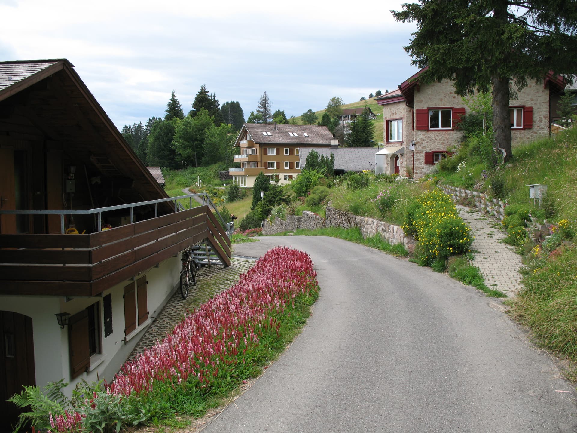 Mineral Baths & Spa Rigi Kaltbad