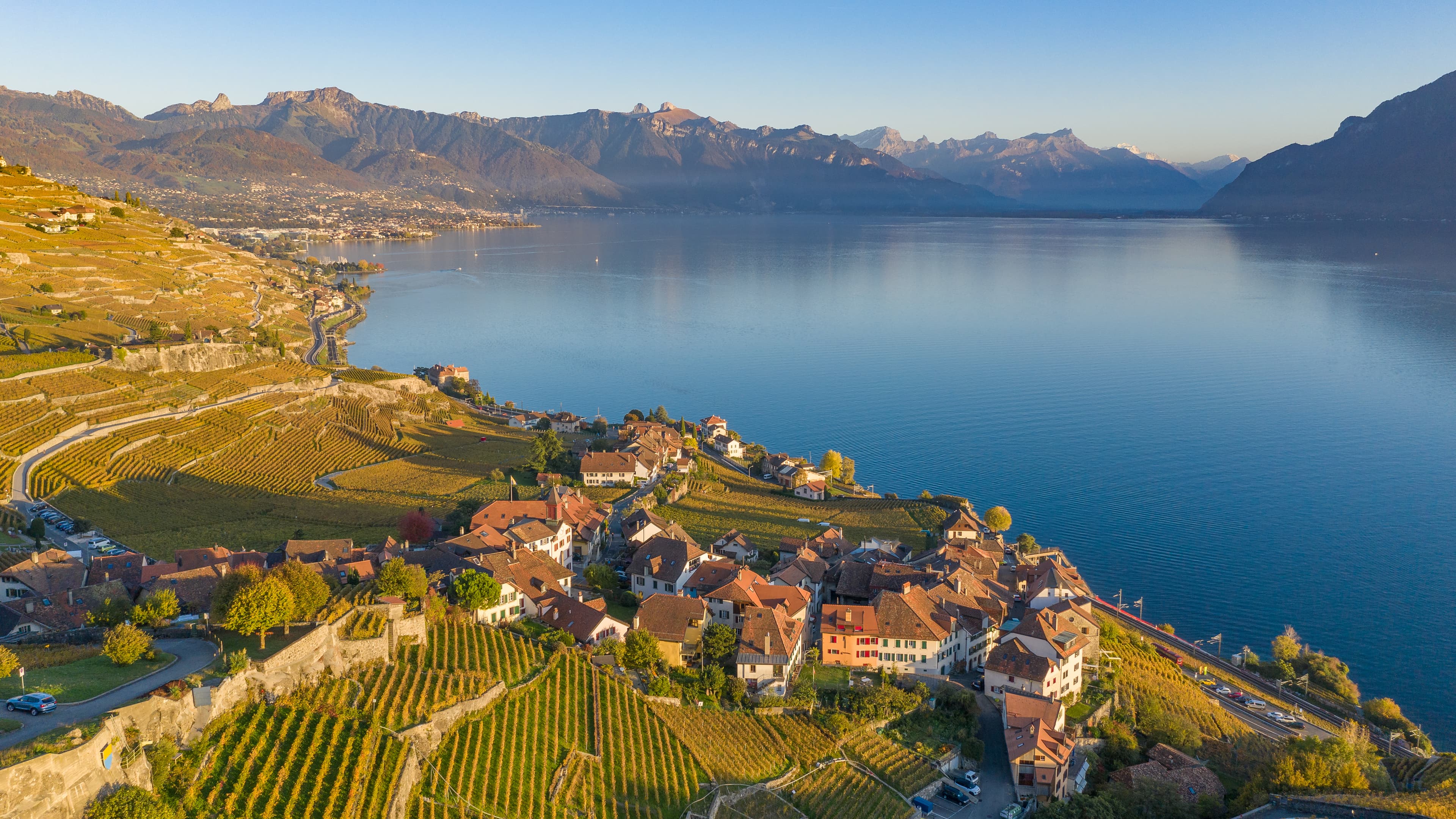 Lavaux Vineyard Wine Tasting