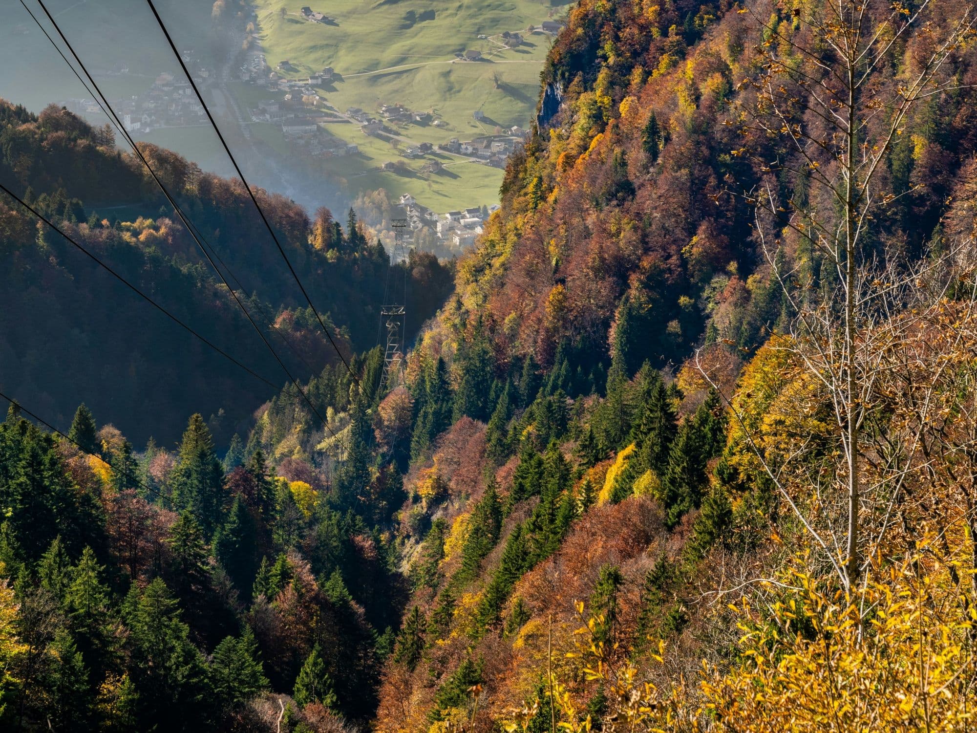 00 Maria Rickenbach1-Unsplash