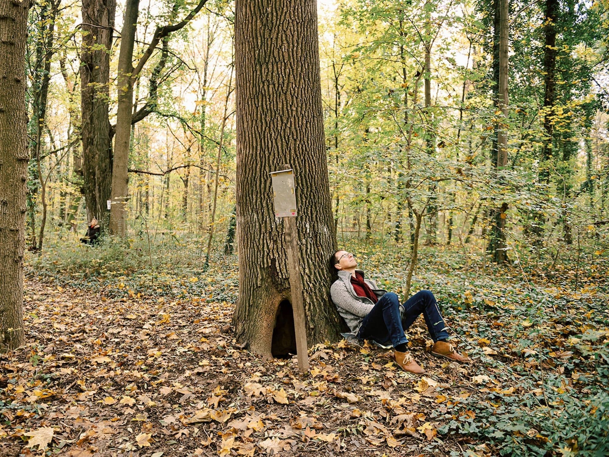 Mann sitzt am Baum