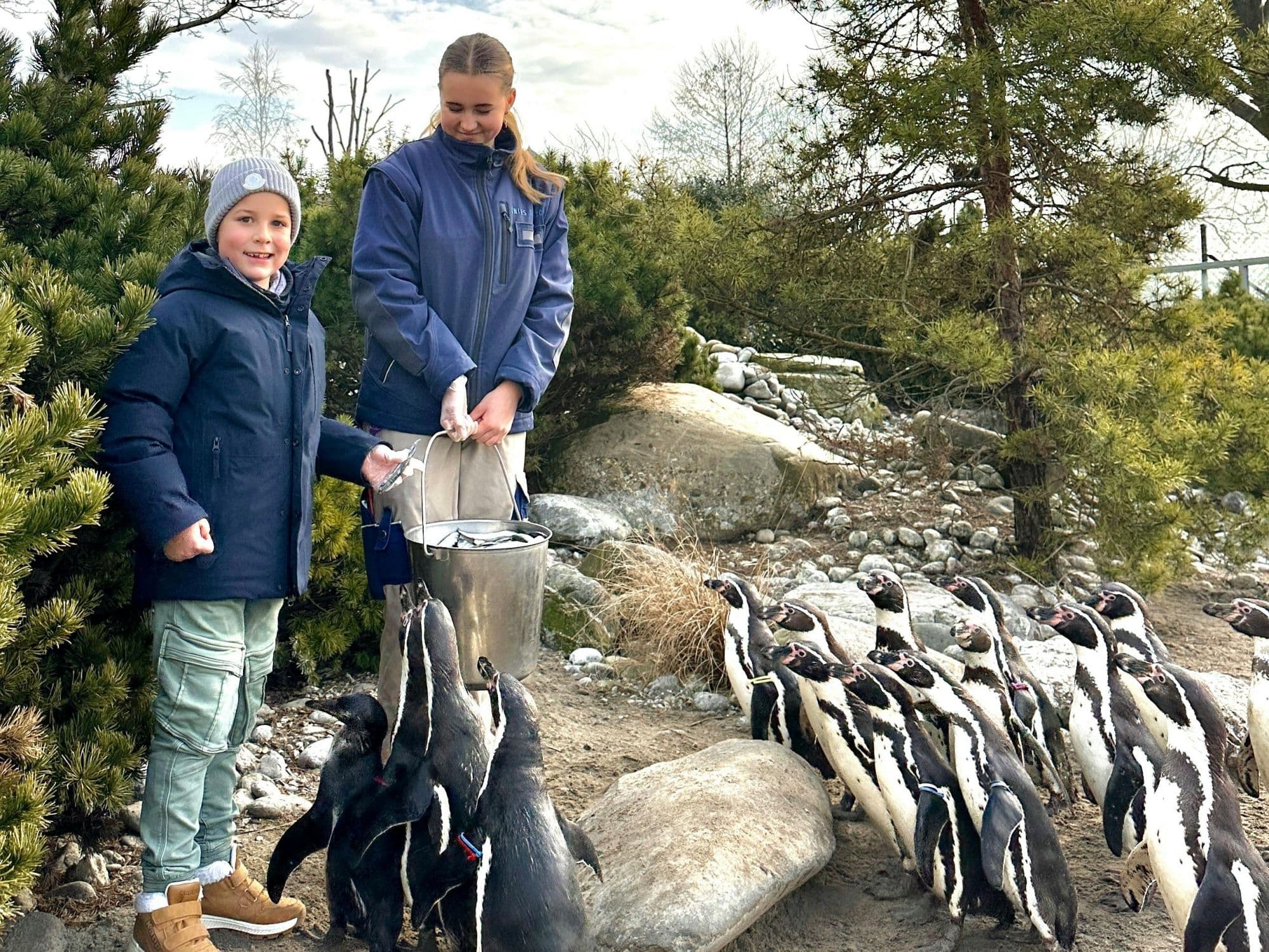 Penguins