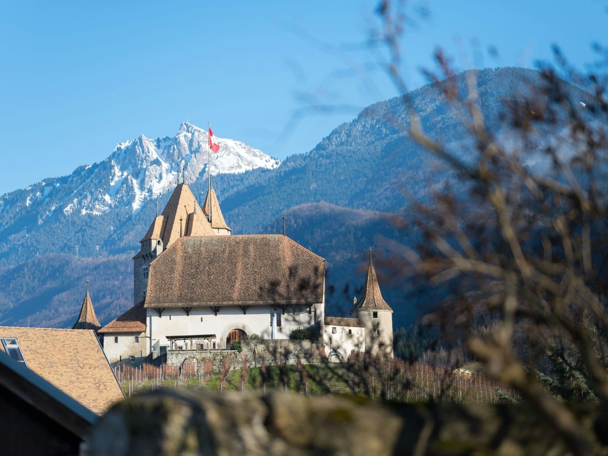 Schloss Aigle