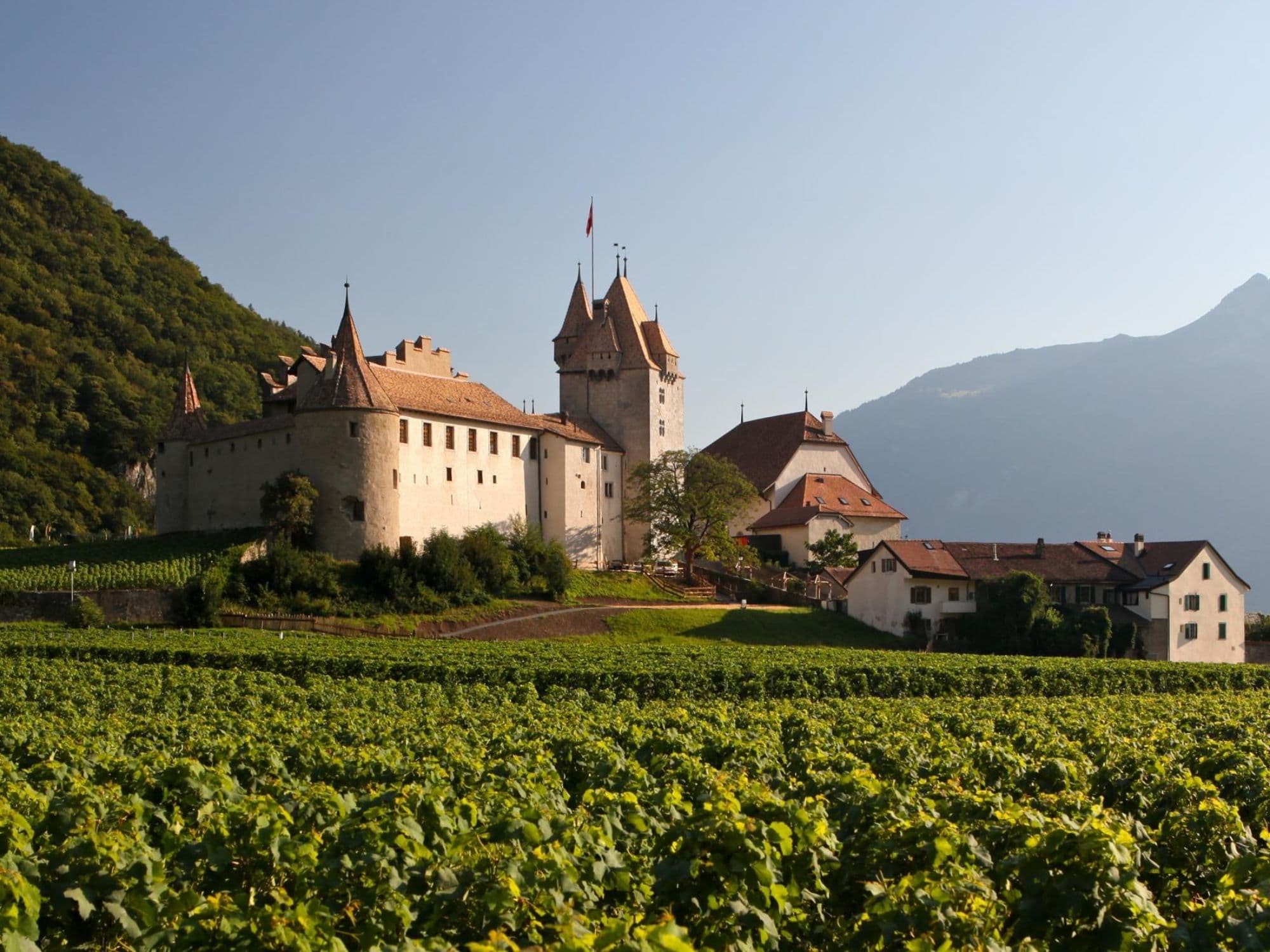 Aigle Castle