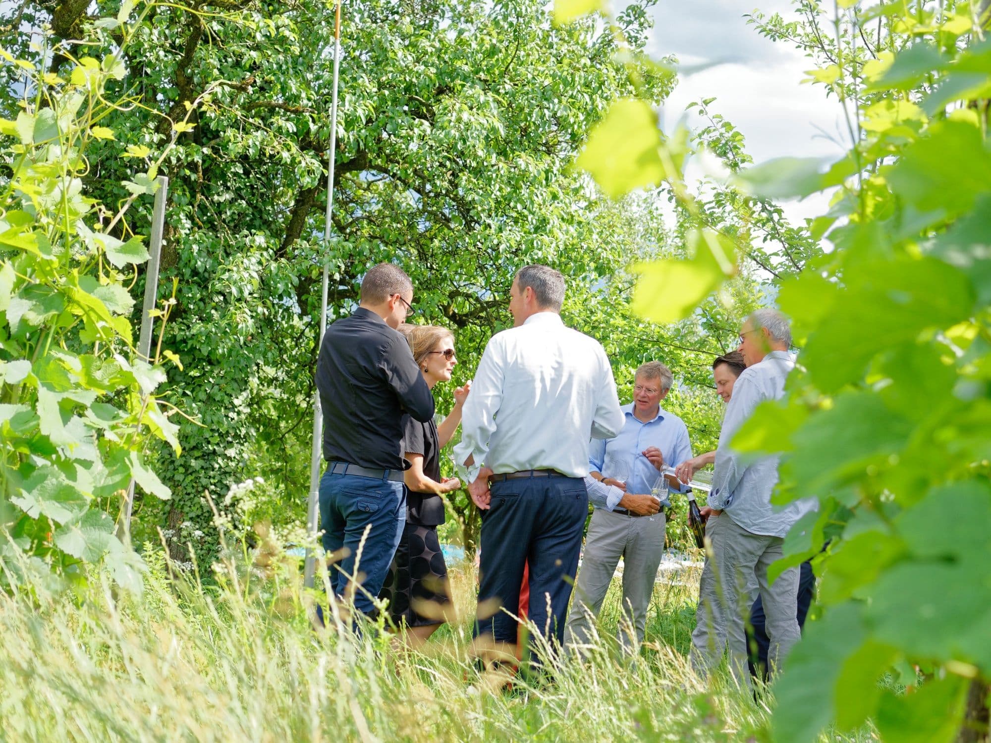 Wine tour: Group at the vineyard in the Bündner Herrschaft enjoying a delightful tasting.