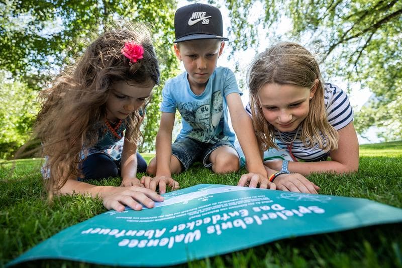 Children play at Lake Walen on a meadow and discover the adventure course.