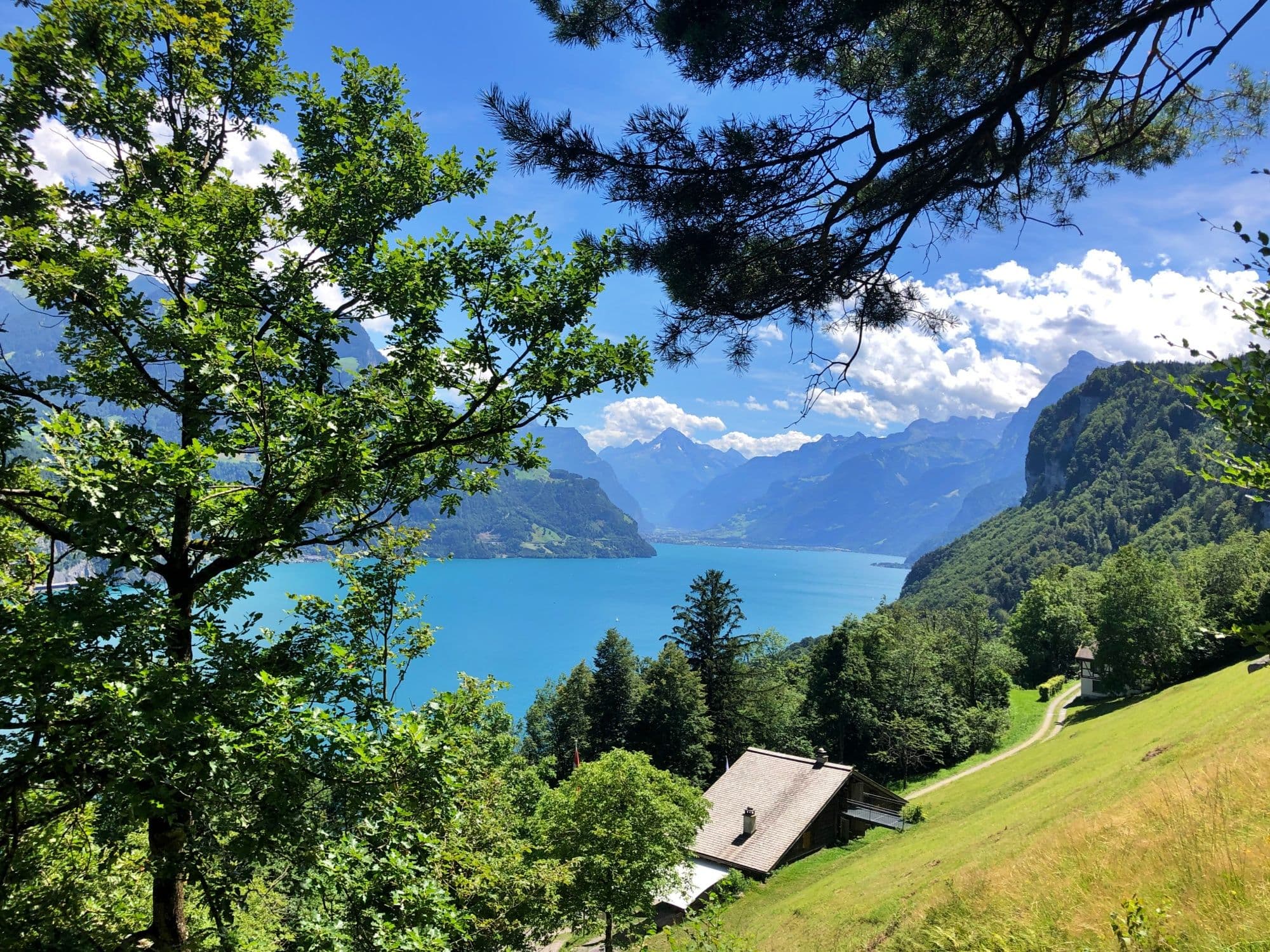 Hike: Beautiful view of Lake Lucerne in Seelisberg, surrounded by mountains and nature.