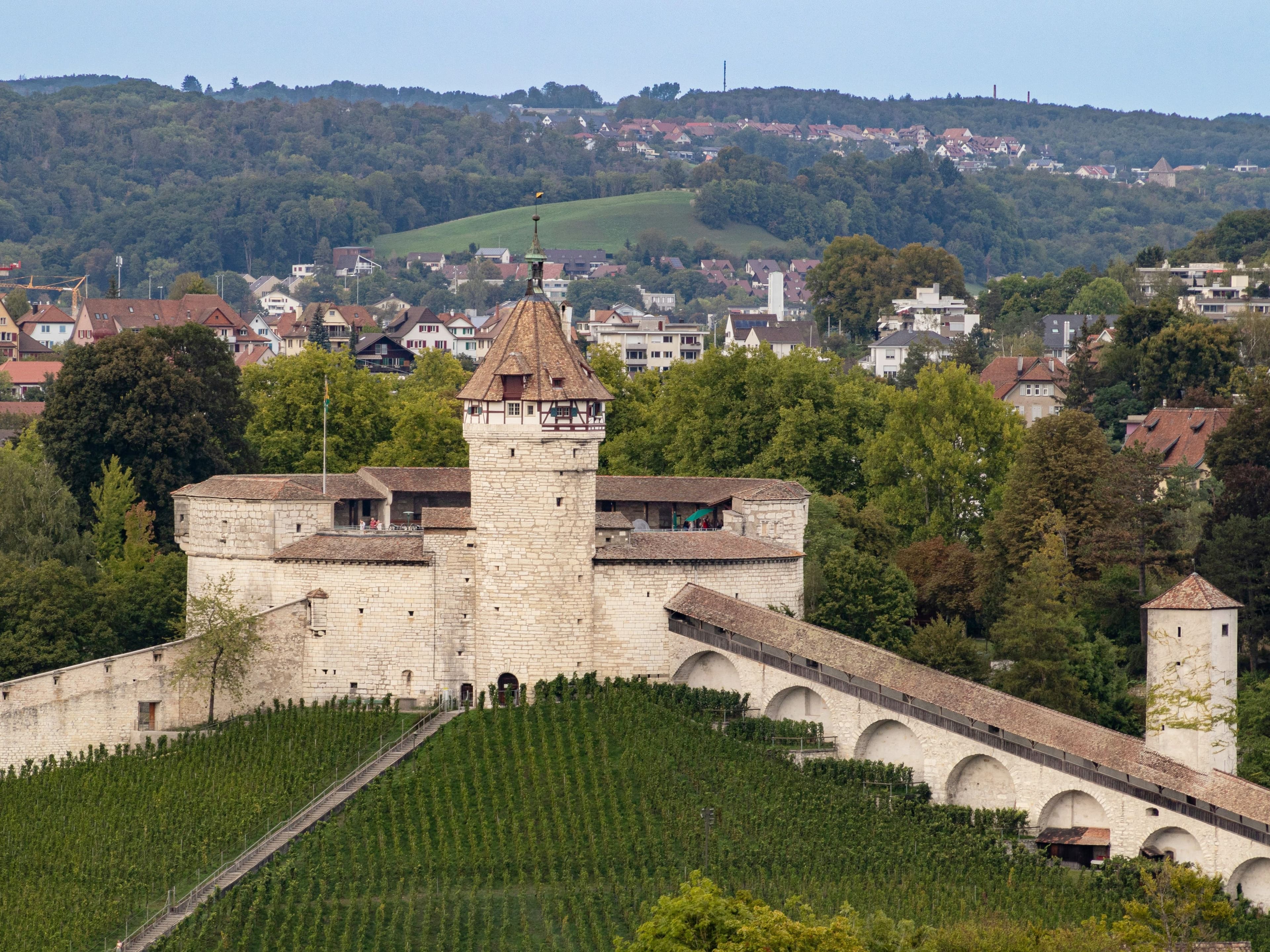 Schaffhausen: View of the castle with vineyards and hilly landscape in the background.
