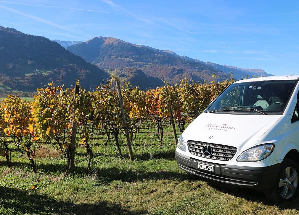 Wine tour, spa, and Tamina Gorge 4