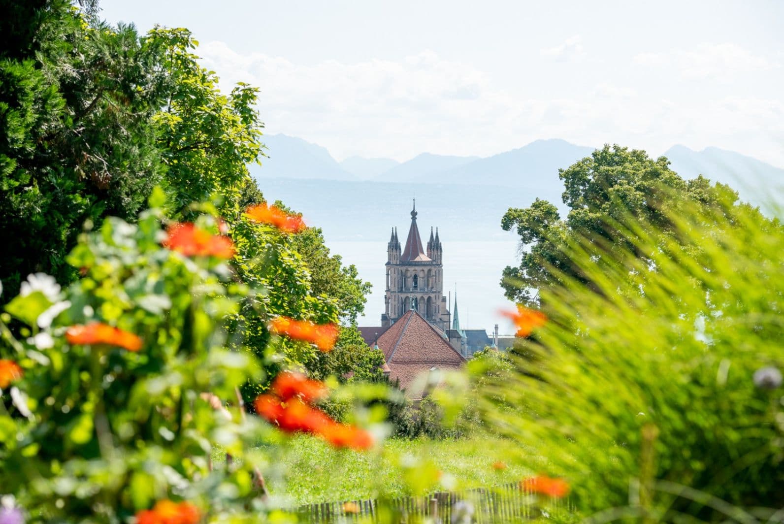 Lausanne city tour with a view of the old town and flowers in the foreground