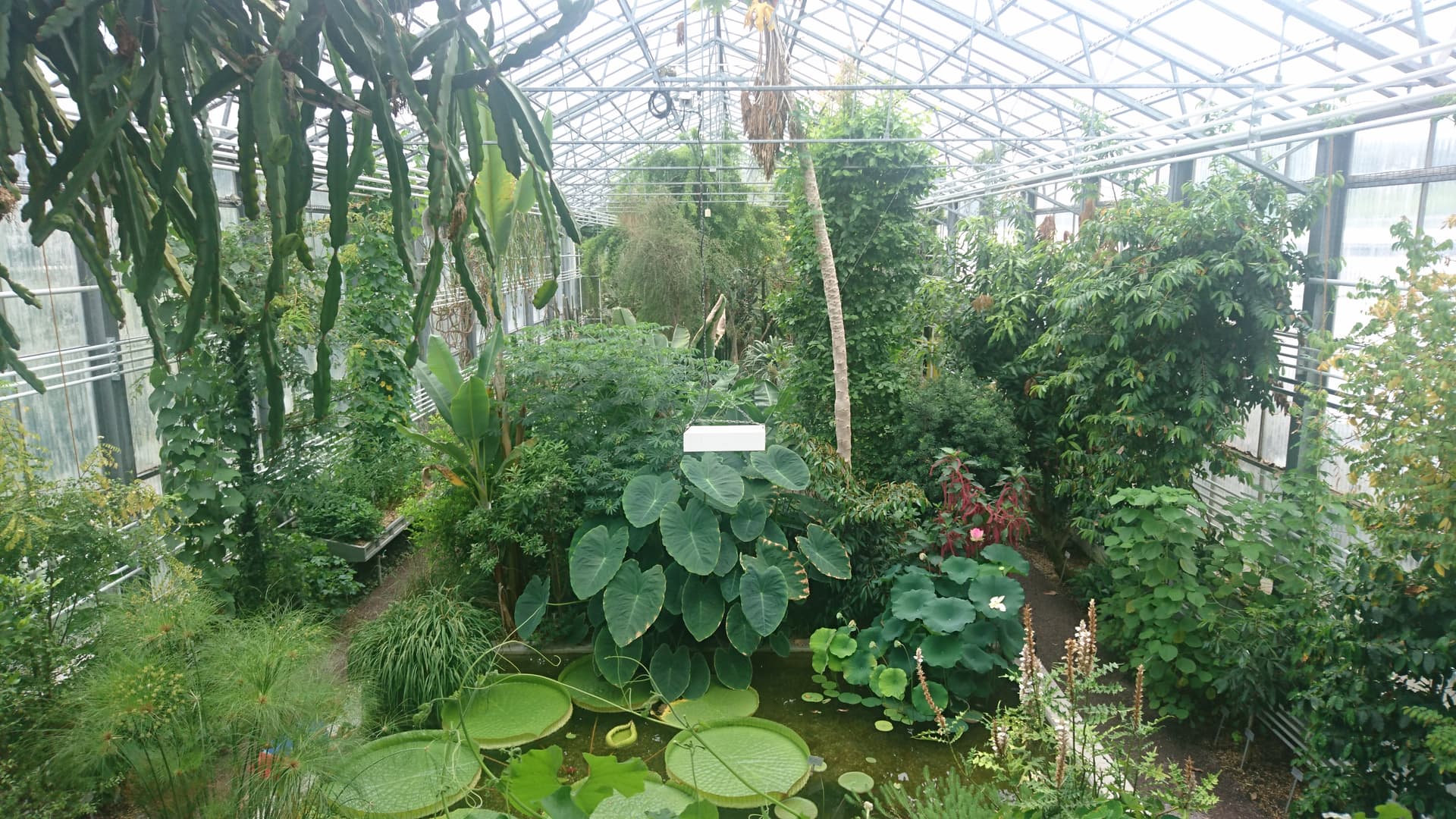 Botanical Gardens, St.Gallen